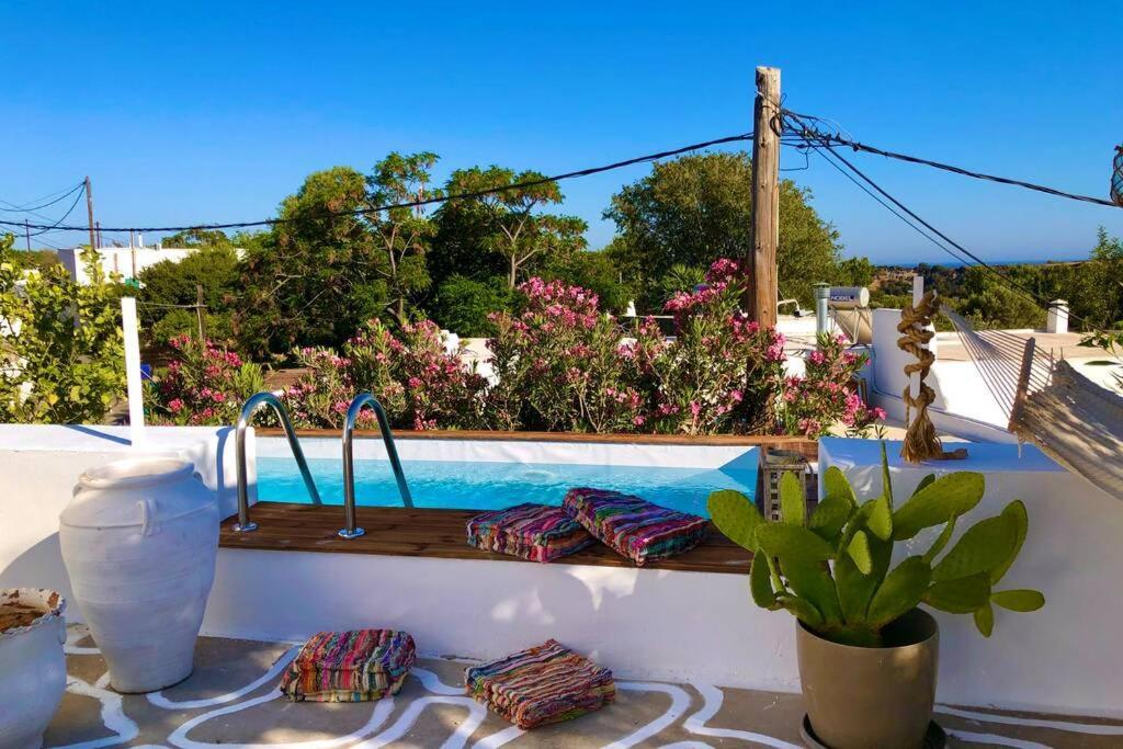 The Summer Pink House Lachania  Exterior photo